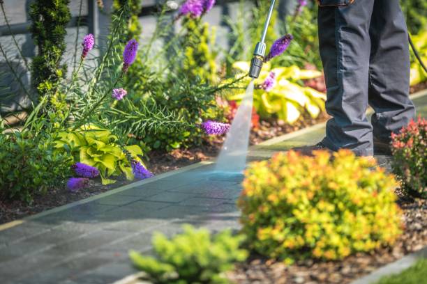 Best Pool Deck Cleaning in Milwaukee, WI